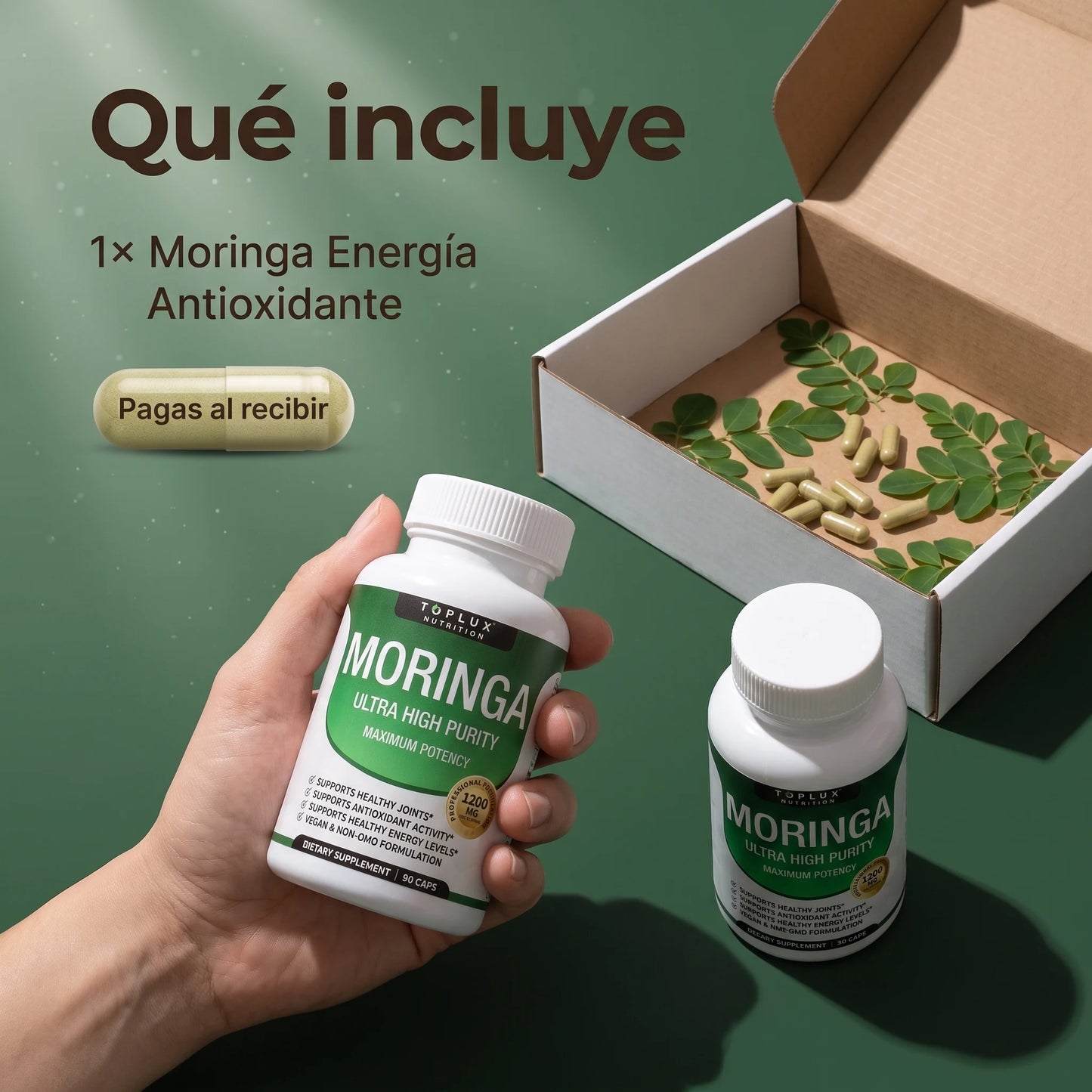 Moringa Energía Antioxidante